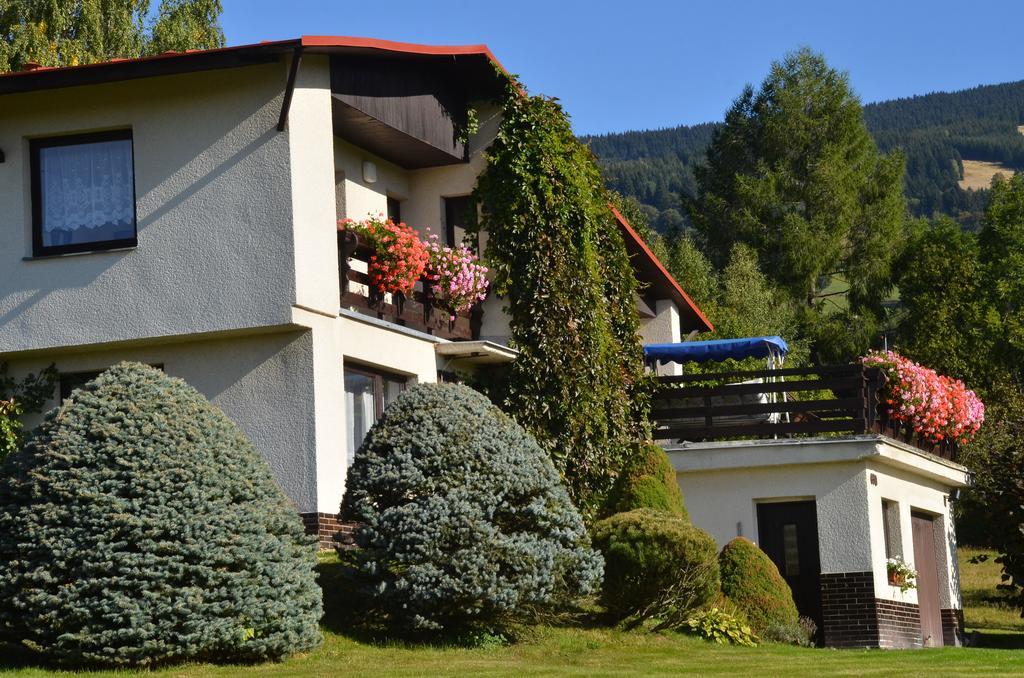 Apartman Braun Rokytnice nad Jizerou Chambre photo