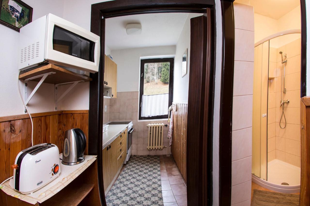 Apartman Braun Rokytnice nad Jizerou Extérieur photo