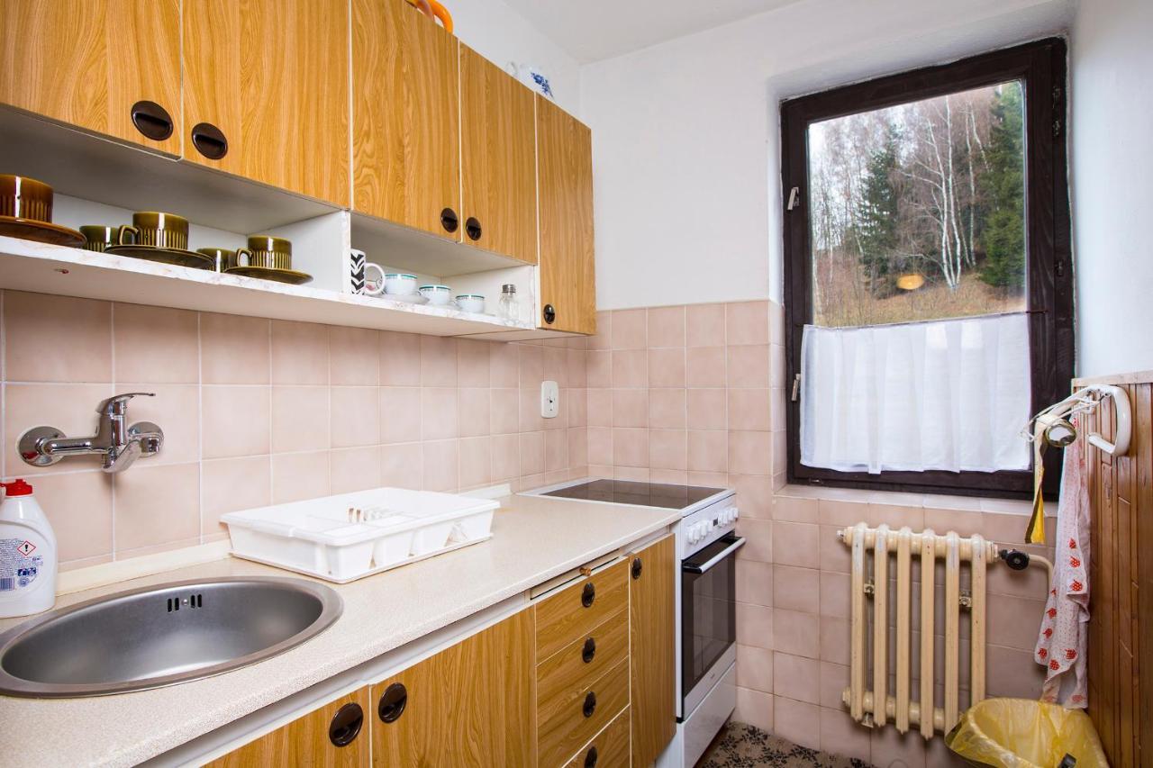 Apartman Braun Rokytnice nad Jizerou Extérieur photo